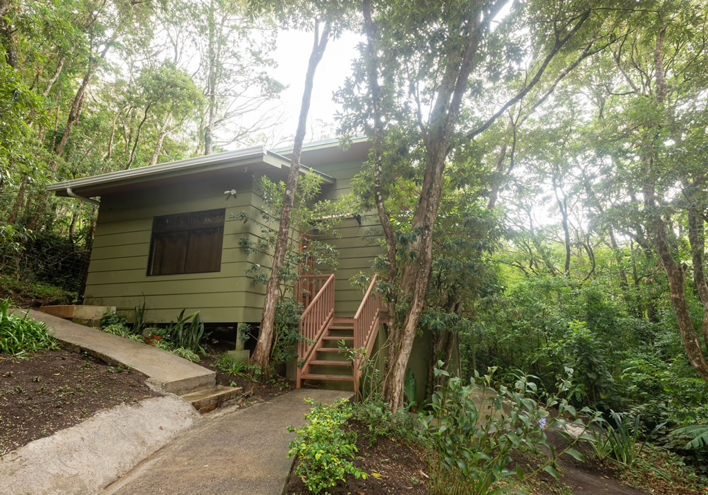 One Bedroom Cabin with Balcony