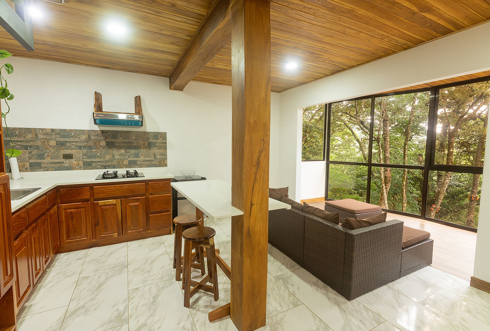 Casas Clusia Monteverde